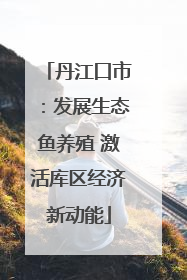 丹江口市：发展生态鱼养殖 激活库区经济新动能