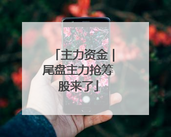 主力资金｜尾盘主力抢筹股来了