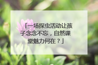 一场探虫活动让孩子念念不忘，自然课堂魅力何在？