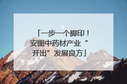 一步一个脚印！安图中药材产业“开出”发展良方
