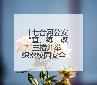 七台河公安“查、练、改”三措并举 织密校园安全防护网