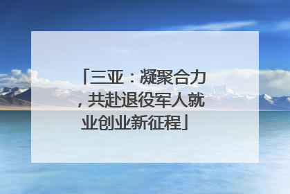 三亚：凝聚合力，共赴退役军人就业创业新征程