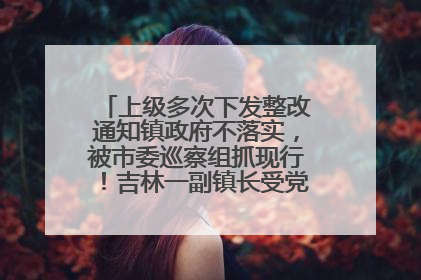 上级多次下发整改通知镇政府不落实，被市委巡察组抓现行！吉林一副镇长受党内警告处分