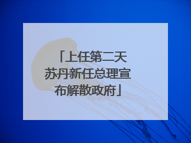 上任第二天 苏丹新任总理宣布解散政府