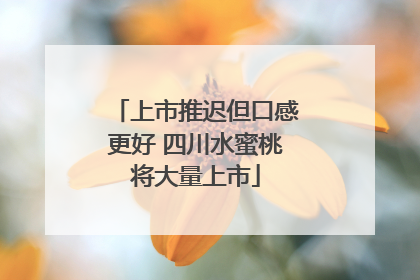 上市推迟但口感更好 四川水蜜桃将大量上市