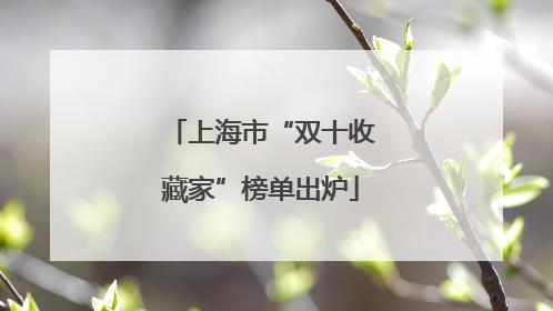 上海市“双十收藏家”榜单出炉