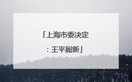 上海市委决定：王平履新