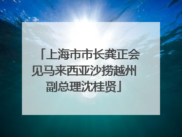 上海市市长龚正会见马来西亚沙捞越州副总理沈桂贤