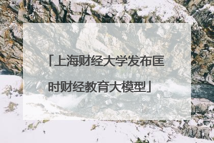 上海财经大学发布匡时财经教育大模型
