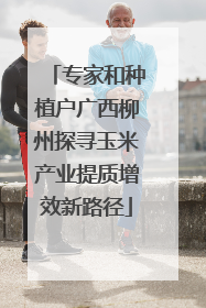 专家和种植户广西柳州探寻玉米产业提质增效新路径