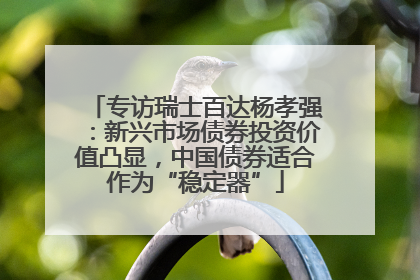 专访瑞士百达杨孝强：新兴市场债券投资价值凸显，中国债券适合作为“稳定器”
