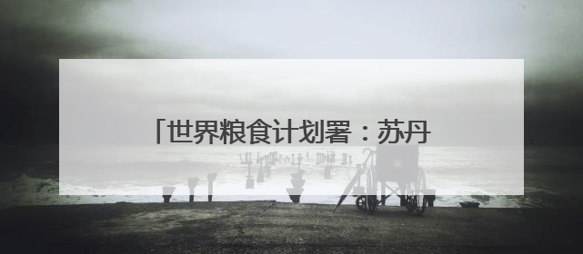 世界粮食计划署：苏丹首都面临严重饥荒风险