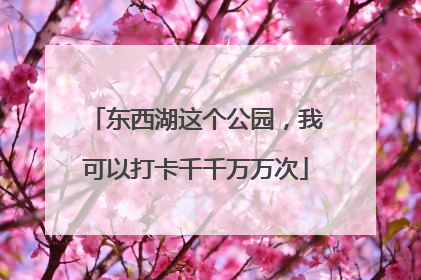 东西湖这个公园，我可以打卡千千万万次