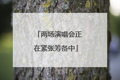 两场演唱会正在紧张筹备中