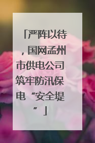 严阵以待，国网孟州市供电公司筑牢防汛保电“安全堤”