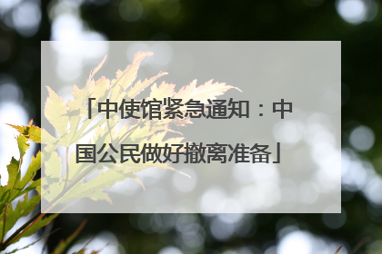 中使馆紧急通知：中国公民做好撤离准备