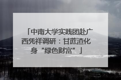 中南大学实践团赴广西凭祥调研：甘蔗渣化身“绿色财富”
