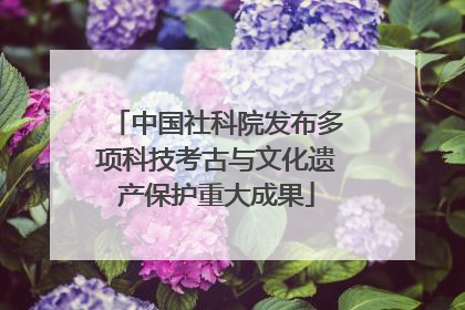 中国社科院发布多项科技考古与文化遗产保护重大成果