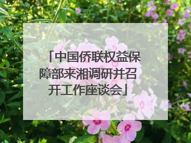 中国侨联权益保障部来湘调研并召开工作座谈会