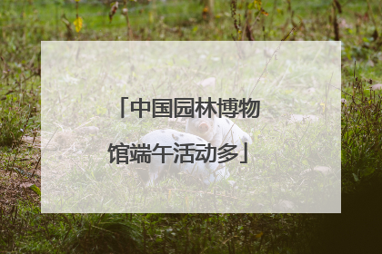 中国园林博物馆端午活动多