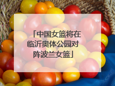 中国女篮将在临沂奥体公园对阵波兰女篮