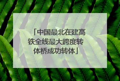 中国最北在建高铁全线最大跨度转体桥成功转体