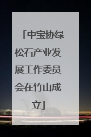 中宝协绿松石产业发展工作委员会在竹山成立