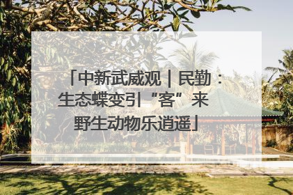 中新武威观｜民勤：生态蝶变引“客”来 野生动物乐逍遥
