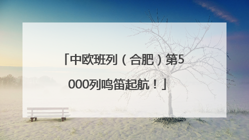 中欧班列（合肥）第5000列鸣笛起航！