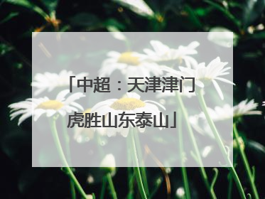中超：天津津门虎胜山东泰山