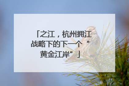 之江，杭州拥江战略下的下一个“黄金江岸”