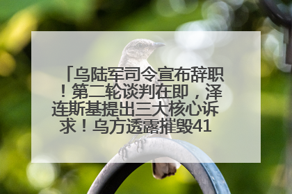 乌陆军司令宣布辞职！第二轮谈判在即，泽连斯基提出三大核心诉求！乌方透露摧毁41架俄战略轰炸机