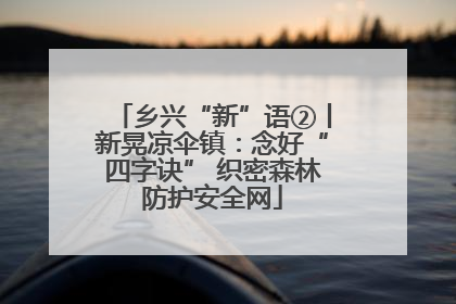乡兴“新”语②丨新晃凉伞镇：念好“四字诀” 织密森林防护安全网