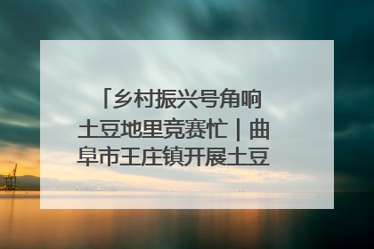 乡村振兴号角响 土豆地里竞赛忙｜曲阜市王庄镇开展土豆收获劳动竞赛