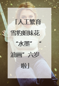 人工繁育雪豹姐妹花“水墨”“油画”六岁啦