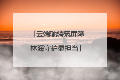云端驰骋筑屏障 林海守护显担当