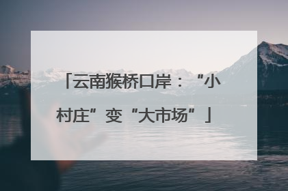 云南猴桥口岸：“小村庄”变“大市场”
