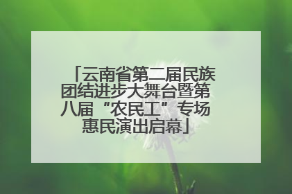 云南省第二届民族团结进步大舞台暨第八届“农民工”专场惠民演出启幕