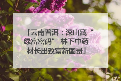 云南普洱：深山藏“绿富密码” 林下中药材长出致富新图景