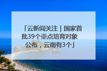 云新闻关注｜国家首批39个重点培育对象公布，云南有3个