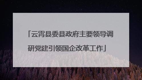 云霄县委县政府主要领导调研党建引领国企改革工作