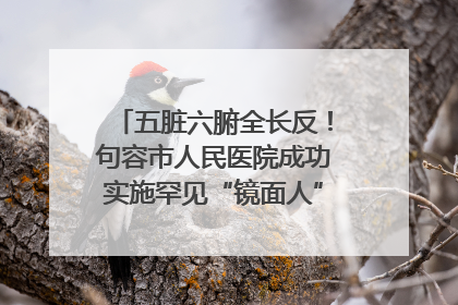 五脏六腑全长反！句容市人民医院成功实施罕见“镜面人”肝癌根治术