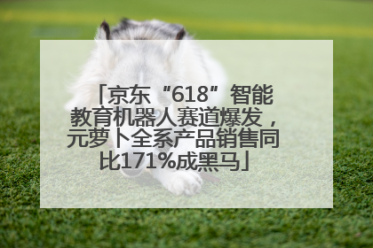 京东“618”智能教育机器人赛道爆发，元萝卜全系产品销售同比171%成黑马