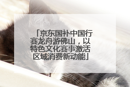 京东国补中国行赛龙舟游佛山，以特色文化赛事激活区域消费新动能