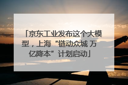 京东工业发布这个大模型，上海“链动众城 万亿降本”计划启动