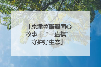 京津冀瓣瓣同心故事丨“一盘棋”守护好生态