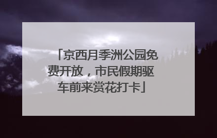 京西月季洲公园免费开放，市民假期驱车前来赏花打卡