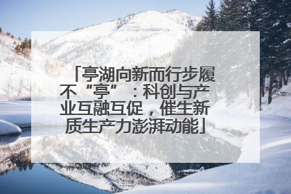 亭湖向新而行步履不“亭”：科创与产业互融互促，催生新质生产力澎湃动能