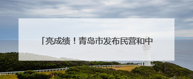 亮成绩！青岛市发布民营和中小企业高质量发展“半年报”