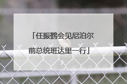 任振鹤会见尼泊尔前总统班达里一行